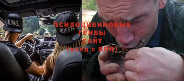 спиды Гусев