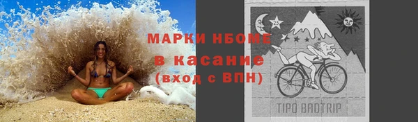 прущие грибы Гусиноозёрск