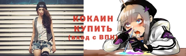 спиды Гусев