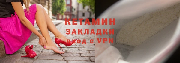 прущие грибы Гусиноозёрск