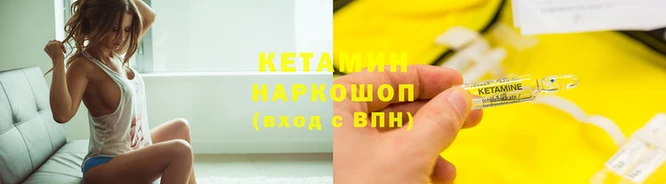 прущие грибы Гусиноозёрск