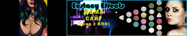 спиды Гусев
