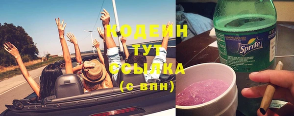 молекула духа Сосновка