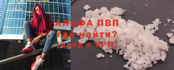 спиды Гусев