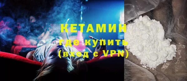 прущие грибы Гусиноозёрск