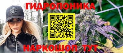 гидропоника Заводоуковск