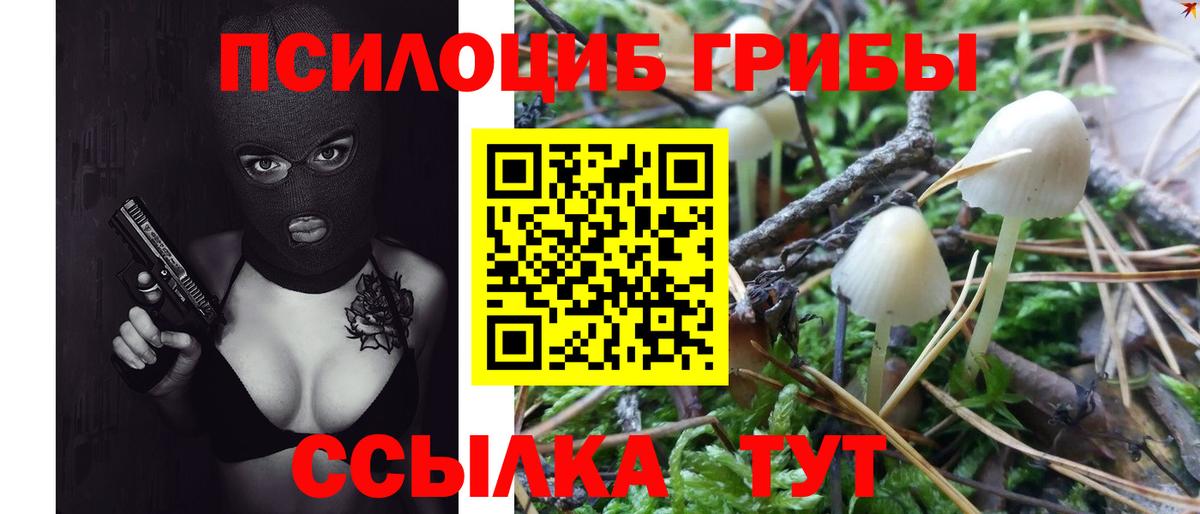 Псилоцибиновые грибы Magic Shrooms  Вход с VPN  Обь  Галлюциногенные грибы Psilocybine cubensis 